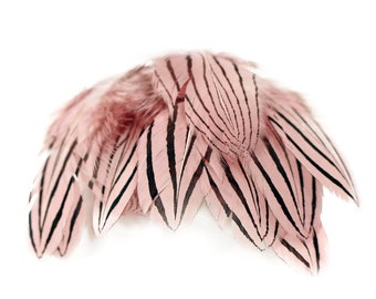 Pink Silver Pheasant Plumage, Unique Feathers, 1 DOZEN  2-4", Dyed Silver Pheasant Barred Plumage ZUCKER® Dyed & Sanitized USA