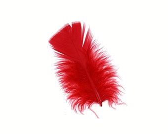 Turkey Feathers, Red Loose Turkey Plumage Feathers, Short T-Base Body Feathers for Craft and Fly Fishing Supply ZUCKER®