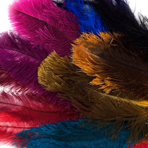 Dyed Ostrich Feather Floss Mix 12 pieces - Perfect for Feather Centerpieces, Party Decor, Millinery, Fashion and Costume Design ZUCKER®