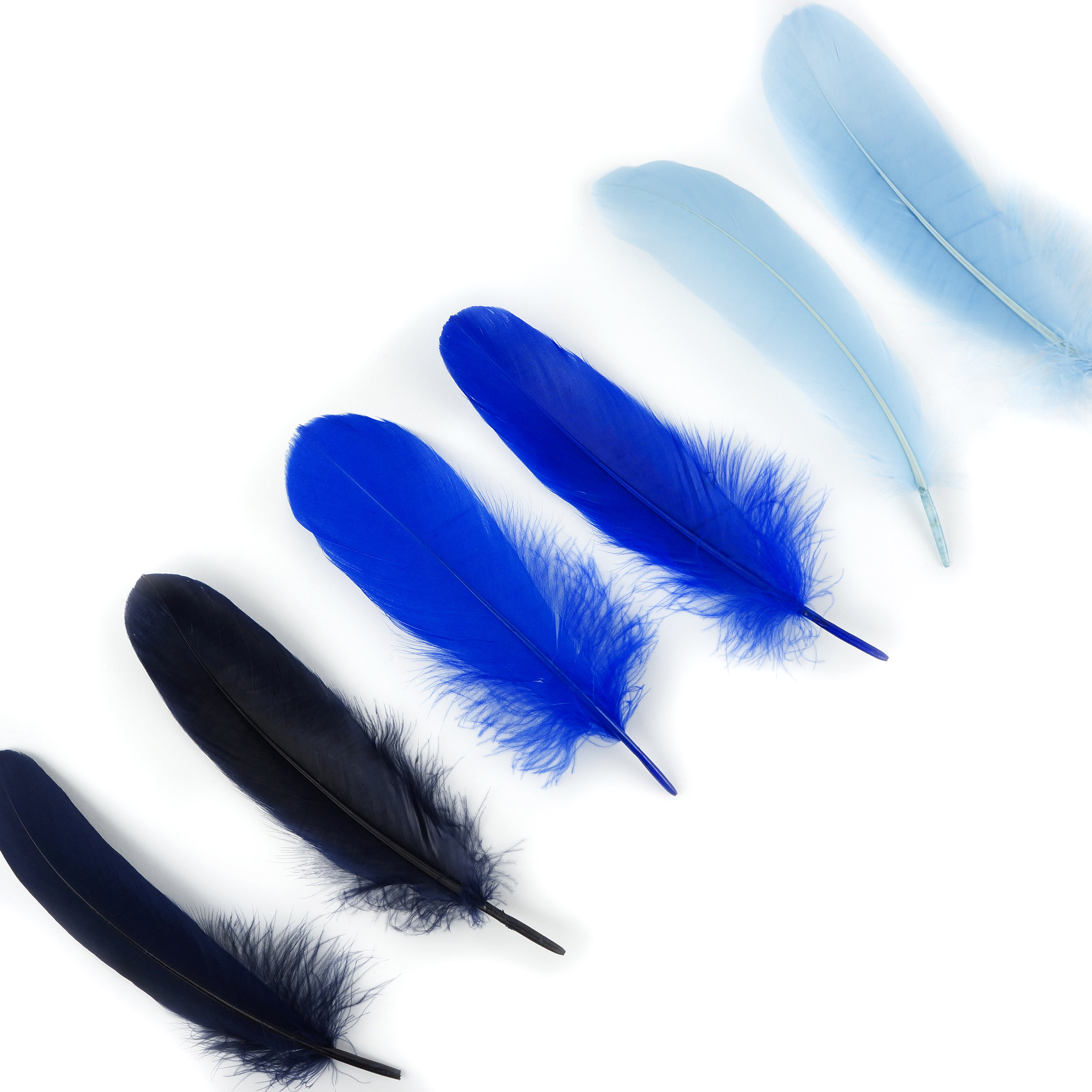 Mixed Dyed Goose Pallet Feathers 12 pieces BLUE SKY'S Goose Feathers ...