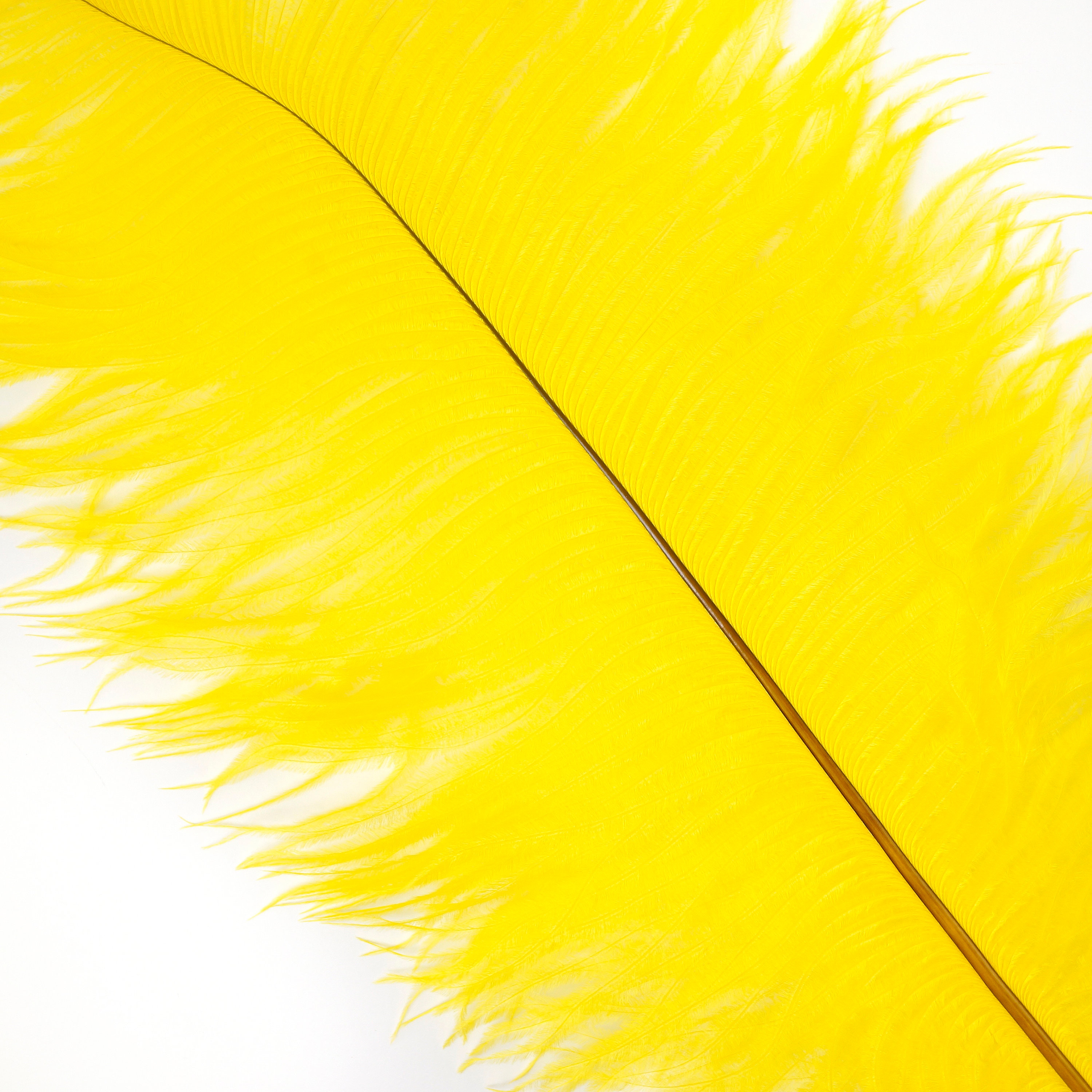 Ostrich Feathers 1316 YELLOW For Feather Centerpieces, Party Decor