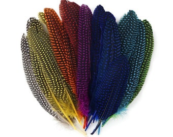 Dyed Guinea Quill Feathers 6-8" RAINBOW Polka Dot Feathers 25pc For Crafts, Cultural Arts, DreamCatcher, Carnival, Costume & Jewelry ZUCKER®