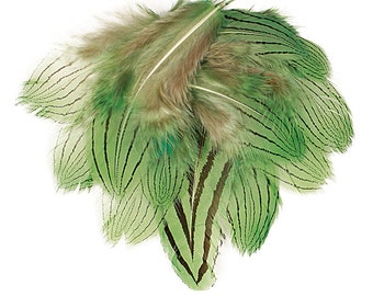 Sage Silver Pheasant Plumage, Unique Feathers, 1 DOZEN 2-4", Dyed Silver Pheasant Barred Plumage ZUCKER® Dyed & Sanitized USA