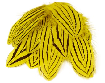 Yellow Silver Pheasant Plumage , Unique Feathers, 1 DOZEN 2-4", Dyed Silver Pheasant Barred Plumage ZUCKER® Dyed & Sanitized USA