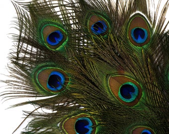 Natural Peacock Feathers, 8-15" Natural Peacock Bird Feathers, Short Peacock Feathers, Natural Cut Peacock Tail Feathers ZUCKER®