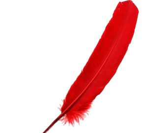 Turkey Feathers, 1DZ RED Turkey Quills - RED Parried Turkey Quills for Millinery, Carnival and Costume Design ZUCKER®