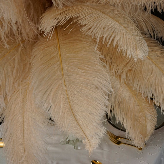 White Ostrich Feathers for Centerpieces: 120 PCS Ostrich Feathers