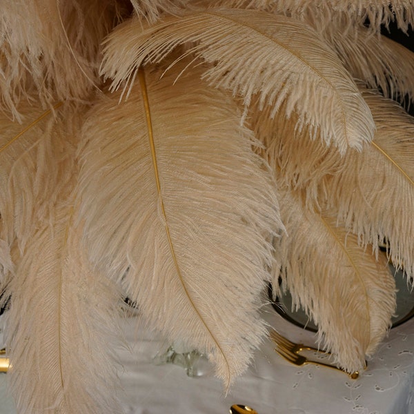 Large Ostrich Feathers 17-25", 1 to 25 Pieces Prime Ostrich Femina Wing Plumes BEIGE Wedding Centerpiece, Carnival Feathers ZUCKER® USA