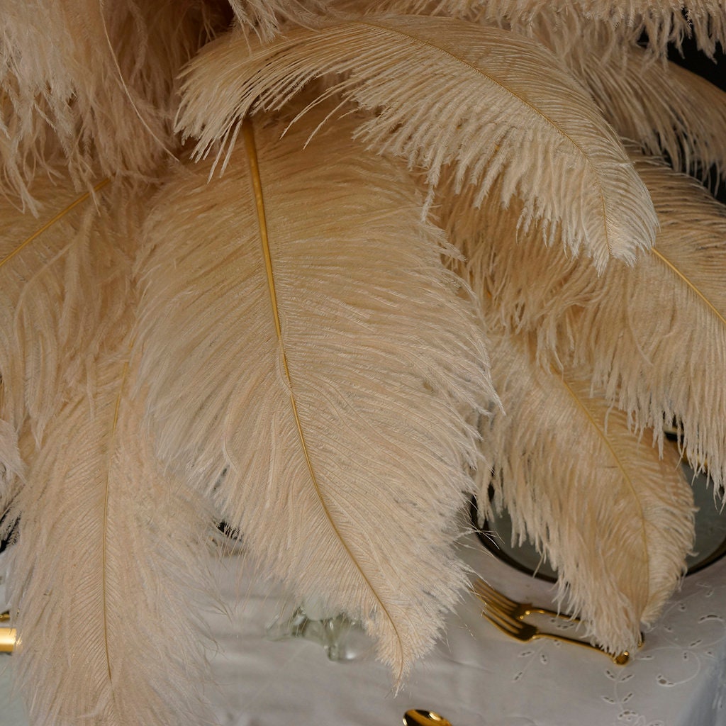 Natural Ostrich Wing Plumes - per 5 feathers