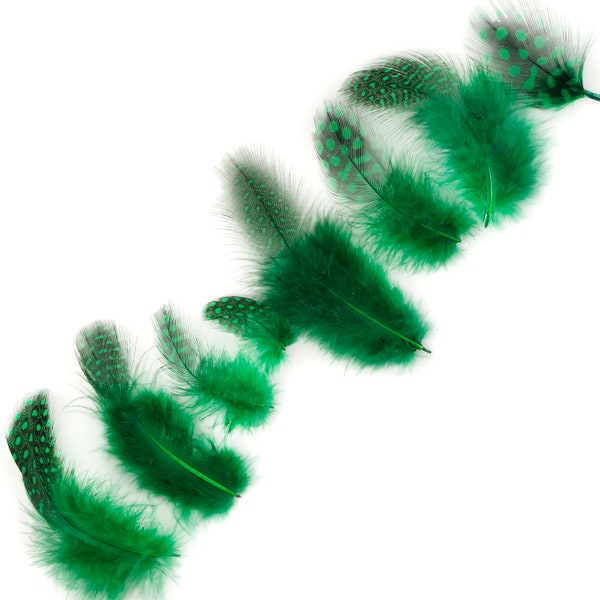 Guinea Feathers, Dyed Kelly Green 1-4” Guinea Hen Polka Dot Loose Plumage Feathers & Craft Supply ZUCKER®