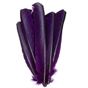 Purple Cut Turkey Pointers 8-12&quot; Dyed 6pcs, Turkey Pointer Quills for Costume, Carnival, Halloween, Cosplay and DIY Arts & Crafts ZUCKER®
