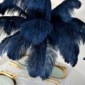 Red Ostrich Feather Male Wing Plumes Large Feathers 24-26 inches 5 Pieces
