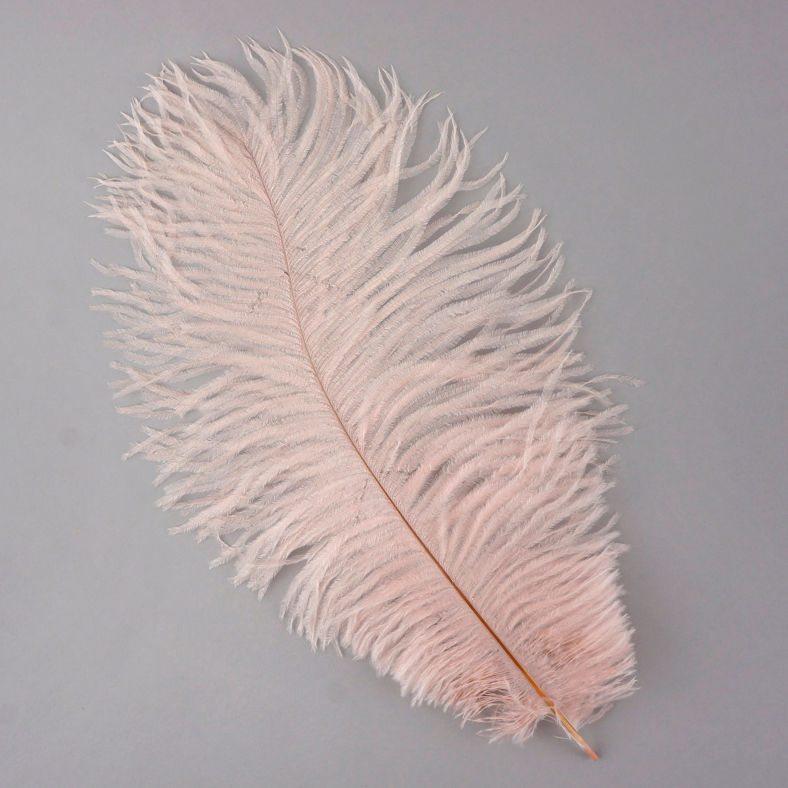 Extra long blush pink ostrich feather earrings – Dance Dressing