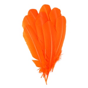 Orange Dyed Turkey Quill Feathers, Bulk Turkey Quills 8-12” for Cosplay, Carnival, Costume, Millinery, Dream Catchers, Arts & Crafts ZUCKER®