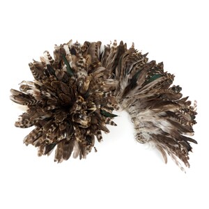1YD BULK Strung Natural Chinchilla Coque Tail Feathers 3-6 inches - For Fashion, Costume, Carnival & Cultural Arts Design ZUCKER®