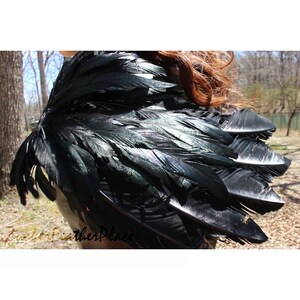 Puede incluir: Alas de plumas negras con un ligero brillo iridiscente. Las alas est&aacute;n hechas de m&uacute;ltiples capas de plumas y est&aacute;n unidas a una correa.