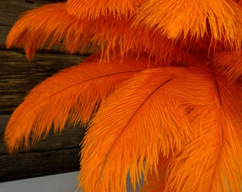 Ostrich Feathers 17-20" ORANGE, 1 to 25 pc, Ostrich Plumes, Carnival Samba, Ostrich Drab, Mardi Gras, Centerpieces, Feather Fan, ZUCKER® USA