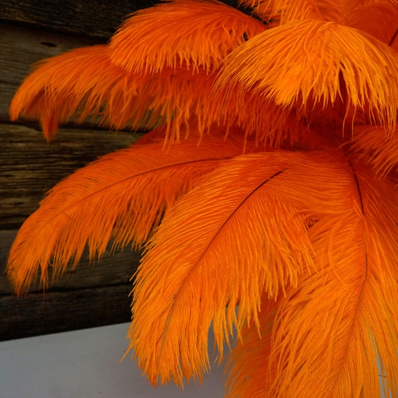 Bird Feathers 3 Premium Quality Exotic Plumes for Hats/Bridal or Any Arts  and Crafts Yellow and RED