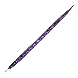 May include: A long, slender, decorative feather with a purple and black pattern. The feather has a textured surface and tapers to a fine point. The feather is isolated on a white background.