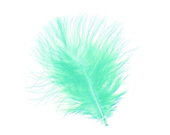May include: A single, light blue ostrich feather with a soft, feathery texture.