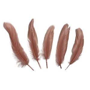 Goose Satinette Feathers, 4-6&quot; Rose Loose Goose Feathers, Small Feathers, Art and Craft Supplies ZUCKER®