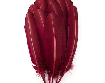 Burgundy Dyed Turkey Quill Feathers, Bulk Turkey Quills 8-12” for Cosplay, Carnival, Costume, Millinery, Dream Catchers, Arts Crafts ZUCKER®