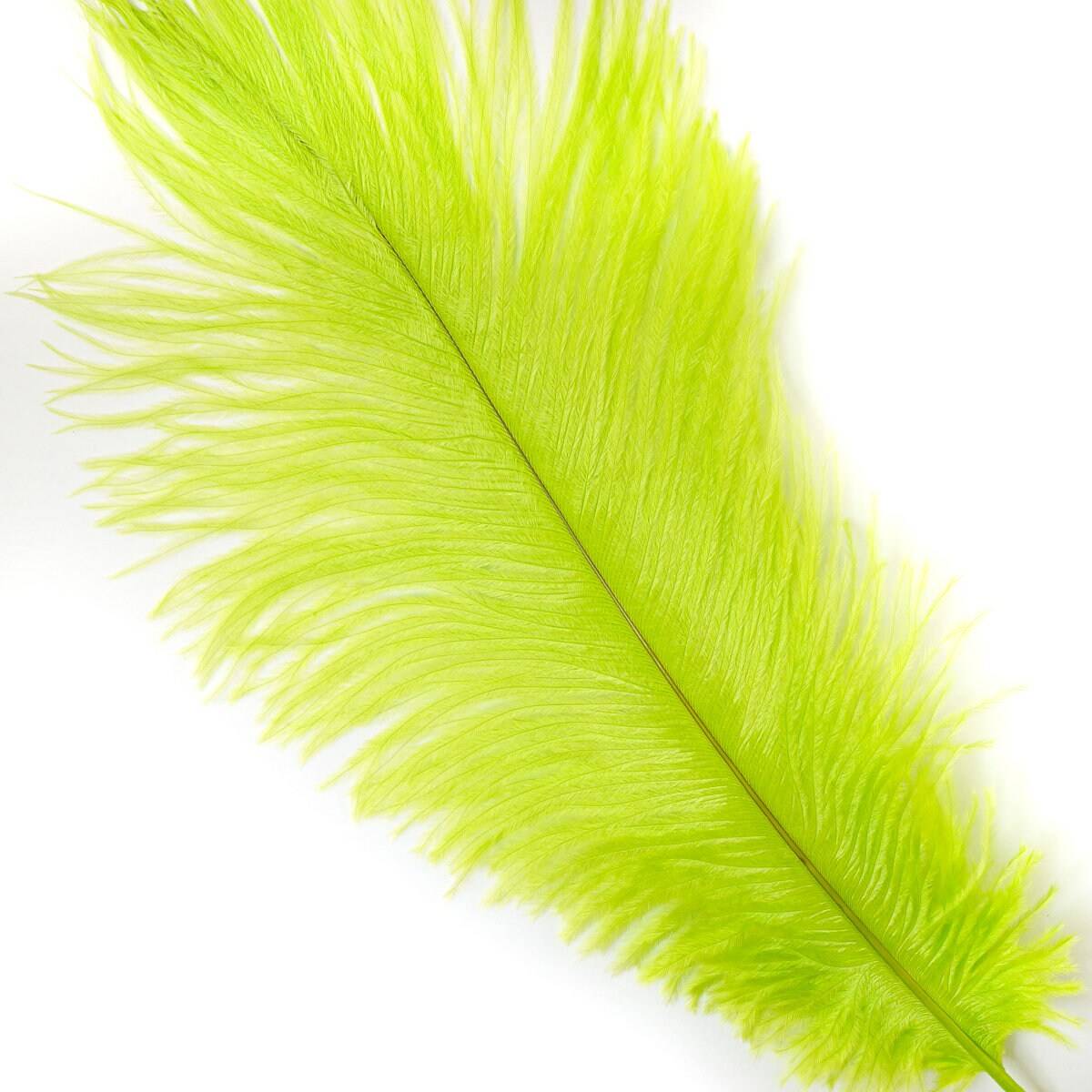 Ostrich Feathers 9-12 CORAL Ostrich Drabs Carnival /& Costume Feathers ZUCKER\u00aeDyed and Sanitized USA Centerpiece Floral Supplies
