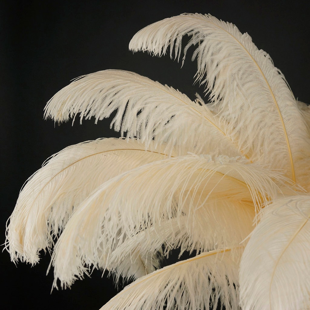 1/2 lb - 18-24 CREAM Large Wing Plumes Wholesale Feathers (bulk