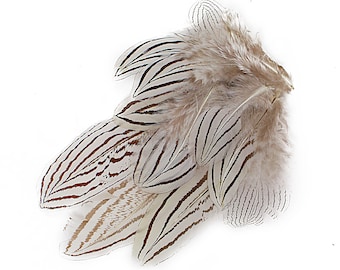 Faisans Décoratifs Métal Argenté Années 70 | €100