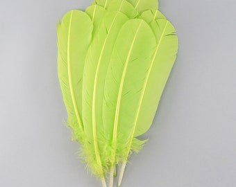 Lime Green Dyed Turkey Quill Feathers, Bulk Turkey Quills 8-12” for Cosplay, Carnival, Costume, Millinery, Arts & Crafts ZUCKER®