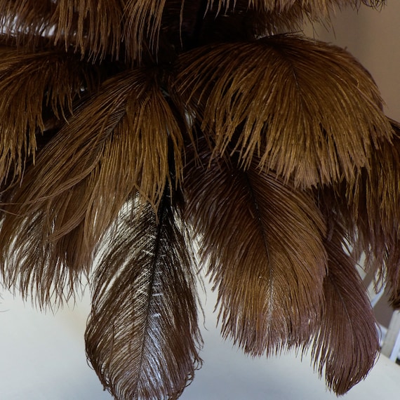 Half Pound 17-20 Inch Ostrich Drabs (75 feathers) 