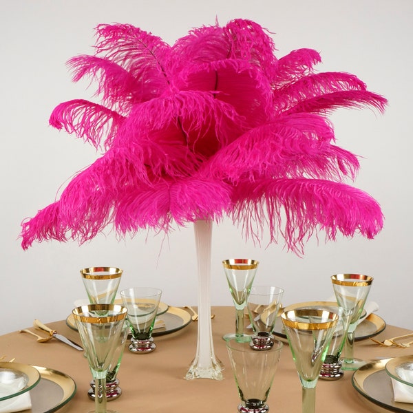 Ostrich Feathers 13-16" SHOCKING PINK - For Feather Centerpieces, Party Decor, Millinery, Carnival, Fashion & Costume ZUCKER®