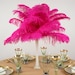 see more listings in the Ostrich Feathers section