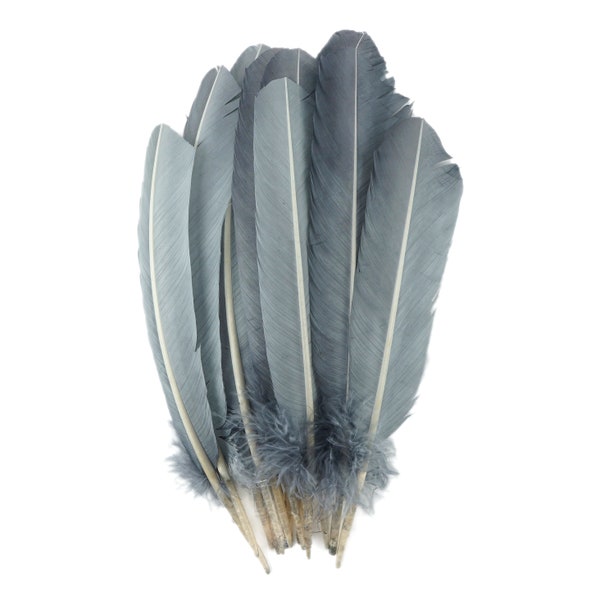 Silver Dyed Turkey Quill Feathers, Bulk Turkey Quills 8-12” for Cosplay, Carnival, Costume, Millinery, Dream Catchers, Art & Craft ZUCKER®