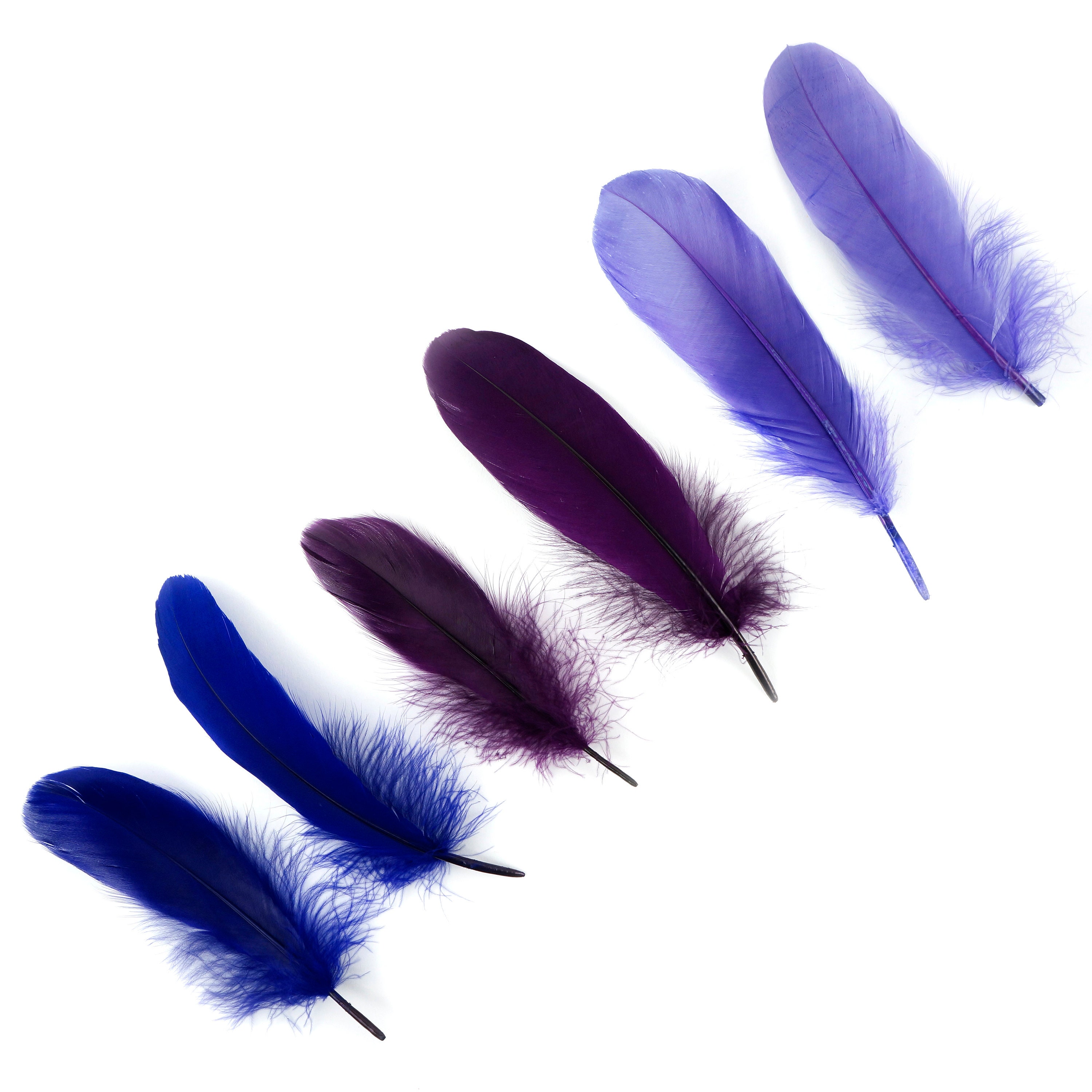 Mixed Dyed Goose Pallet Feathers 12 pieces SUGAR PLUM Goose Feathers