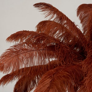 Large Ostrich Feathers 17-25”. 1 to 25 pieces,  Prime Ostrich Femina Wing Plumes COPPER Brown, Wedding Centerpiece, Carnival Feather ZUCKER®