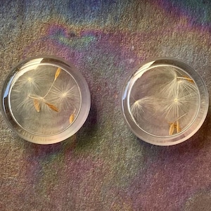 Make A Wish Dandelion Seeds Ear Plugs Hollow Plant Gauges Tunnels Real Flower Earrings 00g 1/2" 9/16" 5/8" 11/16" 3/4" 7/8" 1" ALIEN BABE