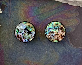 Ocean Treasure Paua Acrylic Saddle Ear Plugs Gauges Tunnels Abalone Shell Beach Seashell Pair 0g 00g 1/2" 9/16" 5/8" 11/16" 3/4" ALIEN