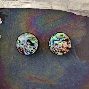 Ocean Treasure Paua Acrylic Saddle Ear Plugs Gauges Tunnels Abalone Shell Beach Seashell Pair 0g 00g 1/2" 9/16" 5/8" 11/16" 3/4" ALIEN