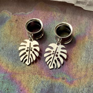 May include: A pair of silver ear gauges with a dangling monstera leaf design. The gauges are circular and have a smooth, polished finish.
