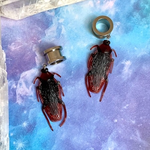 Palmetto bug earrings store