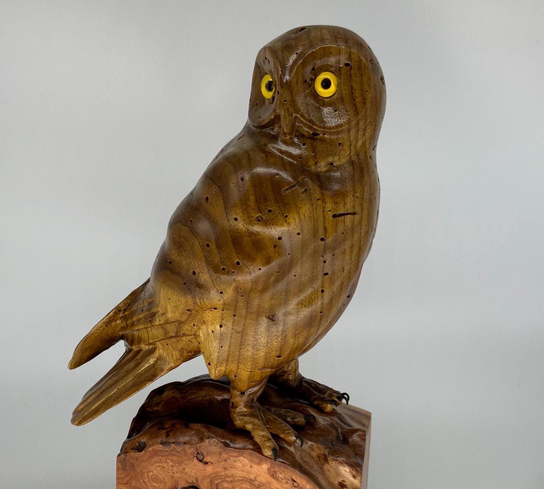Barred owl woodcarving in butternut wood
