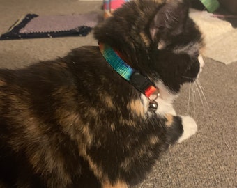 cat collar too big