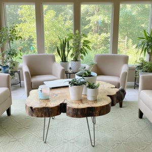 May include: A living room arrangement featuring four beige upholstered armchairs surrounding a natural wood slab coffee table with hairpin legs. Several potted green plants are placed on the table and around the room near large windows.
