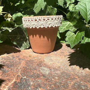 May include: A terracotta flower pot with a white lace trim. The pot is sitting on a brown, textured surface.