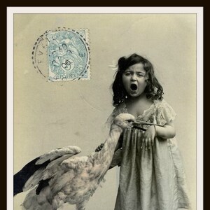 Carte postale Vintage Reproduction historique Photo fillette mordue par Reproduction de carte postale Vintage oiseau sans cadre