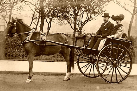 PHOTO ANCIENNE - VINTAGE SNAPSHOT - ANIMAL CHEVAL ATTELAGE CALÈCHE PHOTO ANCIENNE - VINTAGE SNAPSHOT - ANIMAL CHEVAL ATTELAGE CALÈCHE
