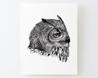 Owl Portrait Art Print, Barn Owl Print, Wild Animal Fine Art, Nature and Animals, Wildlife Artwork, Bird Portrait, Ink Drawing Print