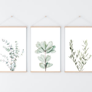 Set of 3 Botanical Prints, Digital Download, Modern Plants, Eucalyptus Print