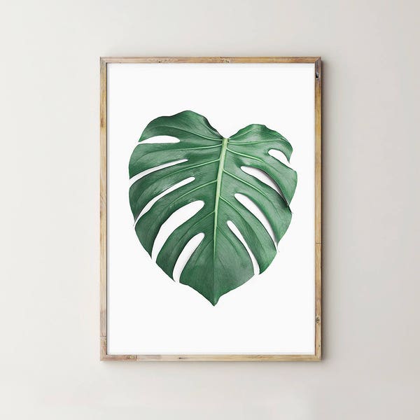 Monstera Leaf Digital Print, Minimalist Art, Tropical Poster, Instant Download, Botanical Wall Art, Monstera Photography, Green Leaf Poster